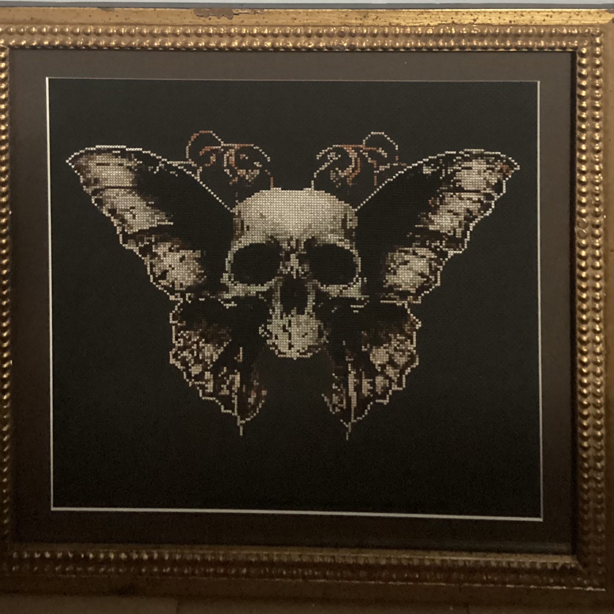 Skull Moth