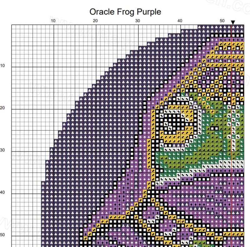 Oracle Frog Cross Stitch Pattern - Image 4
